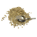 Best Quality White Pepper Grain With Low Price